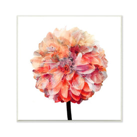 Bright Coral Watercolor Bloom Dahlia Flower 12"x12" Wall Plaque Art