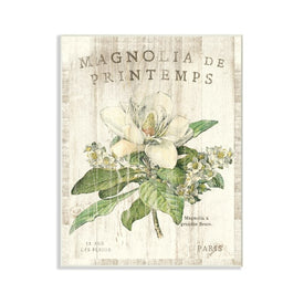 French Magnolias In Spring 13"x19" Oversized Wall Plaque Art