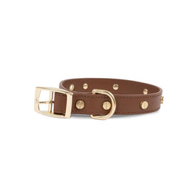 Statement Stud Medium 1" x 13"-17" Leather Dog Collar
