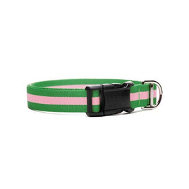 Eton Collar 1" x 12"-20" - Pink/Green