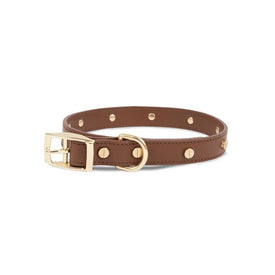 Statement Stud Small 3/4" x 10"-13" Leather Dog Collar