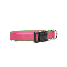 Chelsea Collar 1" x 12"-20" - Pink/Green