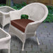 FP-CUSH300C-CC Outdoor/Outdoor Accessories/Patio Furniture Accessories