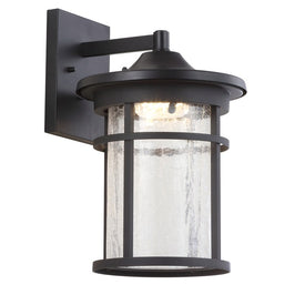 Porto Single-Light LED Outdoor Wall Sconce - Black and Clear