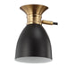 JYL6137A Lighting/Ceiling Lights/Pendants