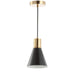 JYL6131A Lighting/Ceiling Lights/Pendants