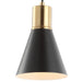 JYL6131A Lighting/Ceiling Lights/Pendants