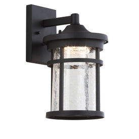 Campo Single-Light LED Outdoor Wall Lantern - Black and Clear