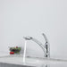 470-DST Kitchen/Kitchen Faucets/Pull Out Spray Faucets
