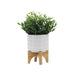 15033-06 Outdoor/Lawn & Garden/Planters