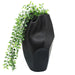 16386-03 Decor/Decorative Accents/Vases
