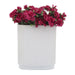 16937-01 Decor/Decorative Accents/Vases