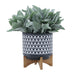 15035-01 Outdoor/Lawn & Garden/Planters