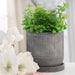 14768-02 Outdoor/Lawn & Garden/Planters