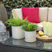 14807-07 Outdoor/Lawn & Garden/Planters