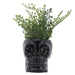 16385-01 Decor/Decorative Accents/Vases