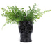 16385-03 Decor/Decorative Accents/Vases