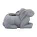 16871 Outdoor/Lawn & Garden/Planters