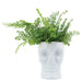 16385-04 Decor/Decorative Accents/Vases