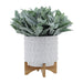 15033-01 Outdoor/Lawn & Garden/Planters