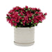 14807-12 Outdoor/Lawn & Garden/Planters