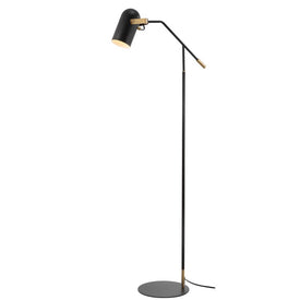 Eugenio LED Floor Lamp - Black and Brass Gold