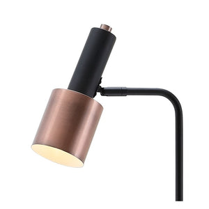 JYL6102A Lighting/Lamps/Floor Lamps