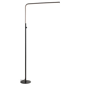 JYL7009B Lighting/Lamps/Floor Lamps