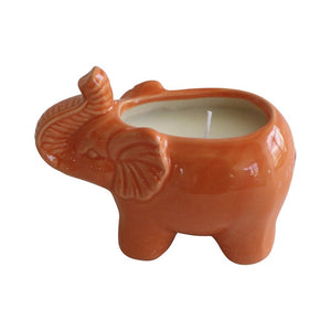 80022-02 Decor/Candles & Diffusers/Candles