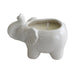 80022-02 Decor/Candles & Diffusers/Candles