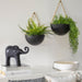 80032 Decor/Candles & Diffusers/Candles