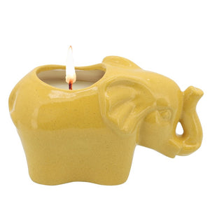 80065-01 Decor/Candles & Diffusers/Candles
