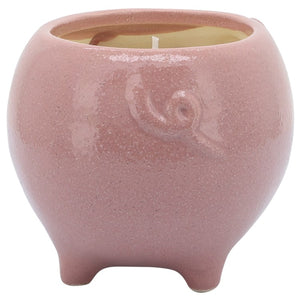 80065-03 Decor/Candles & Diffusers/Candles