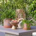 16392 Decor/Decorative Accents/Bowls & Trays