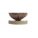 JYL6500A Lighting/Lamps/Table Lamps