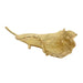 15606-01 Decor/Decorative Accents/Bowls & Trays