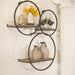 13107-02 Decor/Wall Art & Decor/Wall Shelves