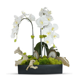 White Orchids in Rectangular Ceramic Container with Agate Slabs