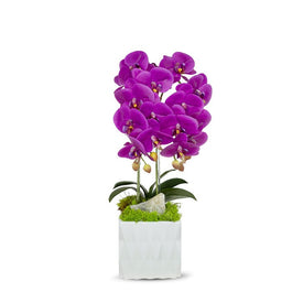 Double Fuchsia Orchid in White Ceramic Container with Green Calcite