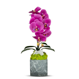 Single Fuchsia Orchid in Gray Faux Marble Container with Quartz