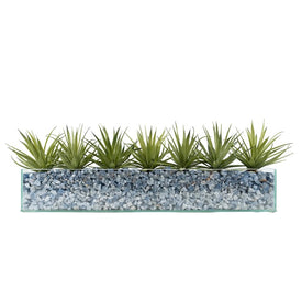 Light Agave in Rectangular Glass Container with Crushed Blue Calcite