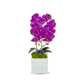 Double Fuchsia Orchid in White Ceramic Container with Amethyst