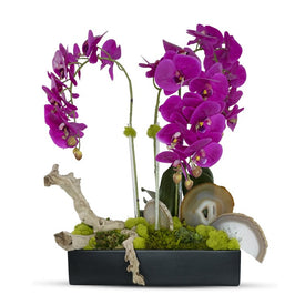 Fuchsia Orchids in Rectangular Ceramic Container with Agate Slabs