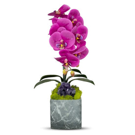 Single Fuchsia Orchid in Gray Faux Marble Container with Amethyst
