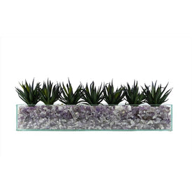 Dark Agave in Rectangular Glass Container with Crushed Amethyst