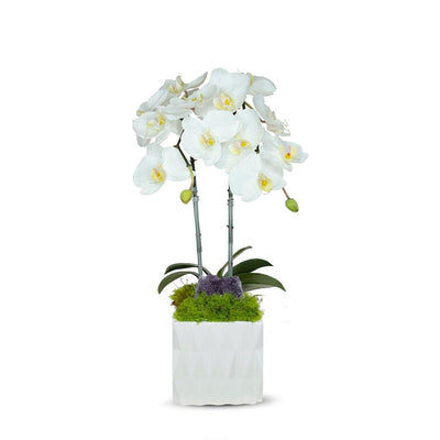 Product Image: F2160WWA Decor/Faux Florals/Floral Arrangements