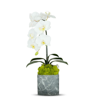 Product Image: S2210BW Decor/Faux Florals/Floral Arrangements