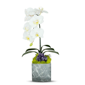 Single White Orchid in Gray Faux Marble Container with Amethyst