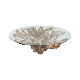 Ursela Teak Root Dining Table with Glass Top