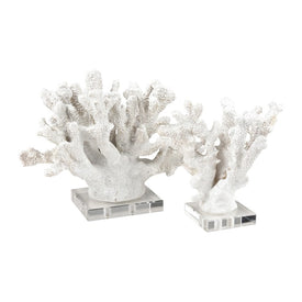 Coral Sculptures Set of 2